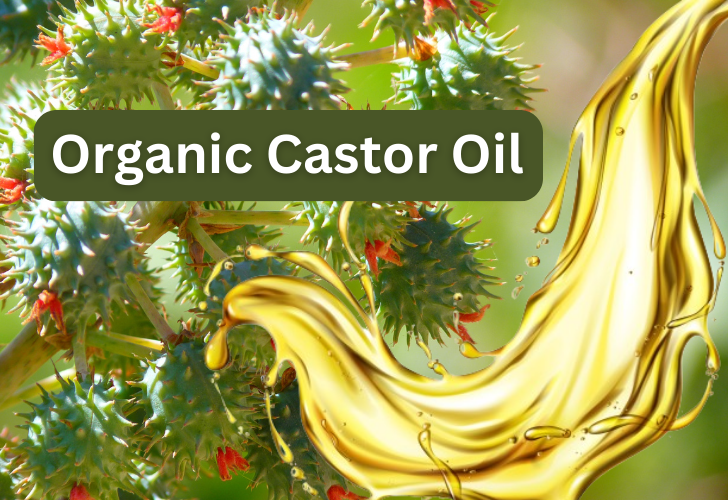 an illustration of organic castor oil