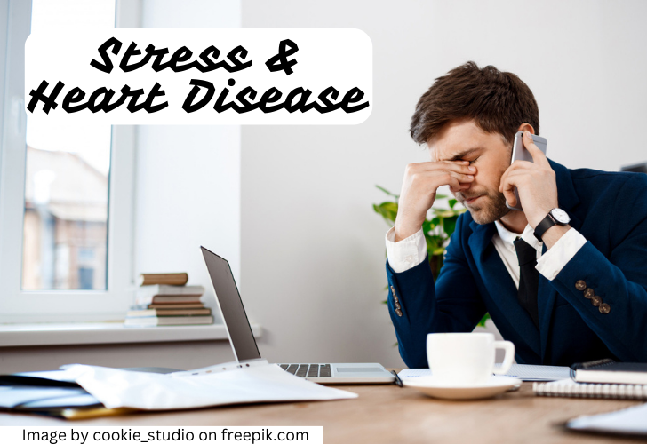an illustration of stress and heart disease