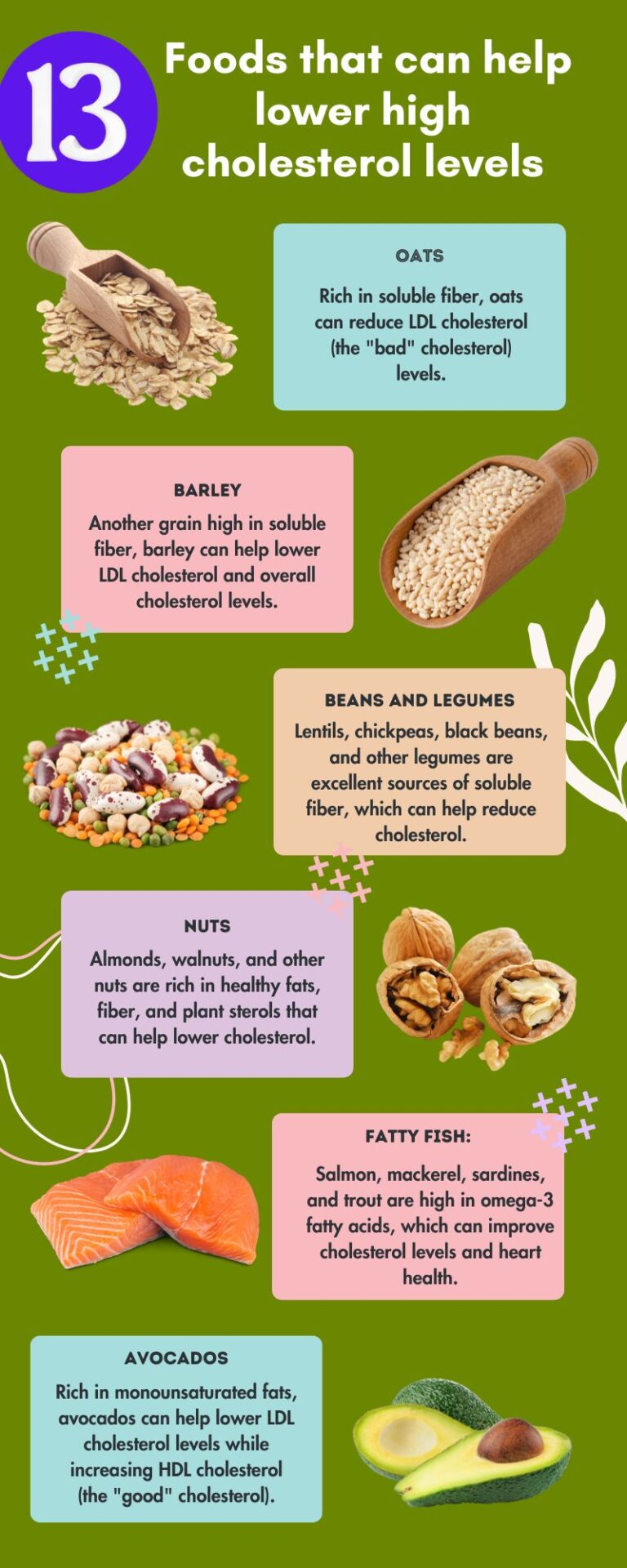 Foods For High Cholesterol page1