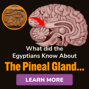 pineal xt to egyptians knew