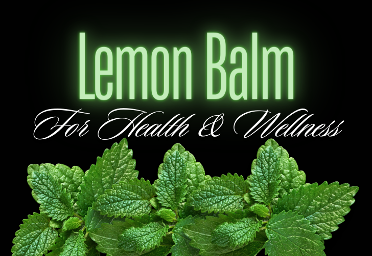 lemon balm for health and wellness