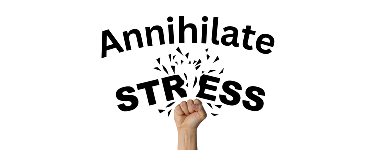 the science behind stress and anxiety annihilate stress